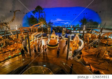 福井県立恐竜博物館の室内風景 福井県勝山市 126654911