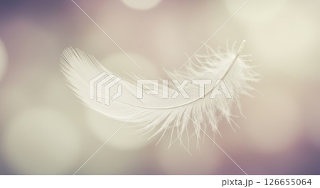 Delicate white feather floating against a soft pastel bokeh background Delicate white feather floating against a soft pastel bokeh background 126655064