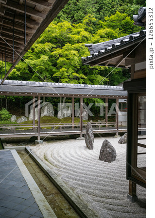 初夏の青紅葉が美しい漢陽寺新緑の風景 126655312