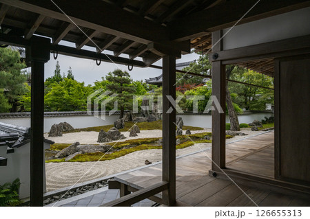 初夏の青紅葉が美しい漢陽寺新緑の風景 126655313