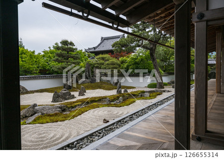 初夏の青紅葉が美しい漢陽寺新緑の風景 126655314