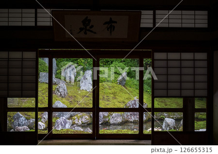 初夏の青紅葉が美しい漢陽寺新緑の風景 126655315