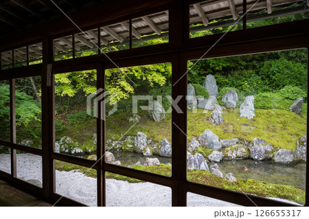 初夏の青紅葉が美しい漢陽寺新緑の風景 126655317
