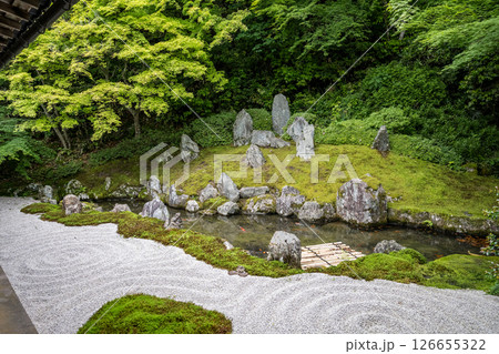 初夏の青紅葉が美しい漢陽寺新緑の風景 初夏の青紅葉が美しい漢陽寺新緑の風景 126655322