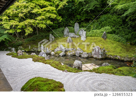 初夏の青紅葉が美しい漢陽寺新緑の風景 初夏の青紅葉が美しい漢陽寺新緑の風景 126655323