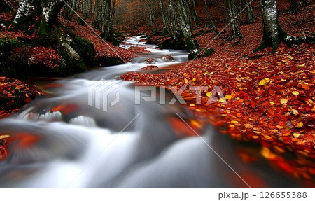 Cascading waters through autumnal forest of vibrant foliage beauty 126655388
