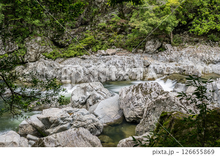 新緑の美しい青紅葉と清流の流れ 新緑の美しい青紅葉と清流の流れ 126655869