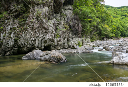 新緑の美しい青紅葉と清流の流れ 新緑の美しい青紅葉と清流の流れ 126655884