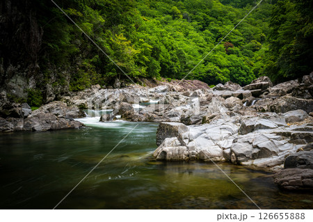 新緑の美しい青紅葉と清流の流れ 126655888
