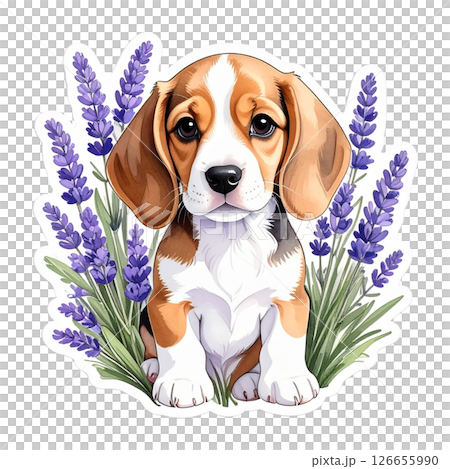 Lavender flower and beagle logo illustration 1 / flyer and poster material 126655990