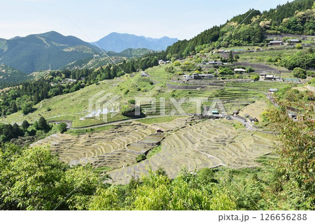 熊野 丸山千枚田 水を張った棚田 熊野 丸山千枚田 水を張った棚田 126656288