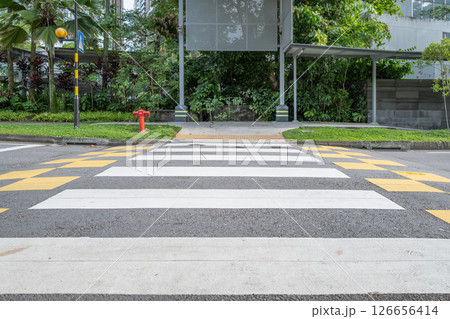 Zebra crossing on Orchard Road with lush greenery and urban backdrop 126656414