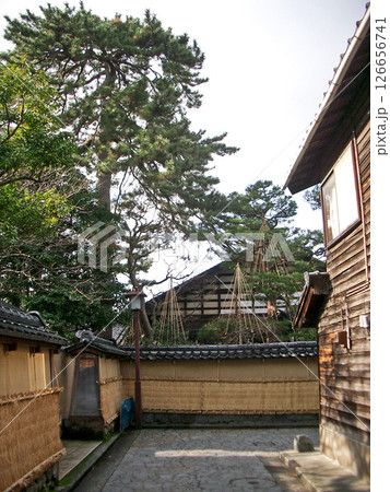 石川県金沢市の長町武家屋敷跡（突き当たりは大屋家住宅） 126656741