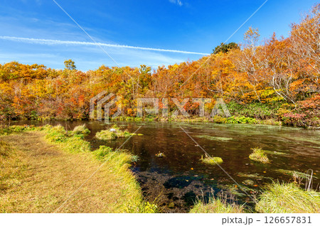 【青森県八甲田山の紅葉】グダリ沼の色鮮やかな紅葉は実に見事な風景 【青森県八甲田山の紅葉】グダリ沼の色鮮やかな紅葉は実に見事な風景 126657831