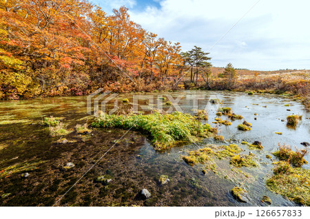 【青森県八甲田山の紅葉】グダリ沼の色鮮やかな紅葉は実に見事な風景 126657833