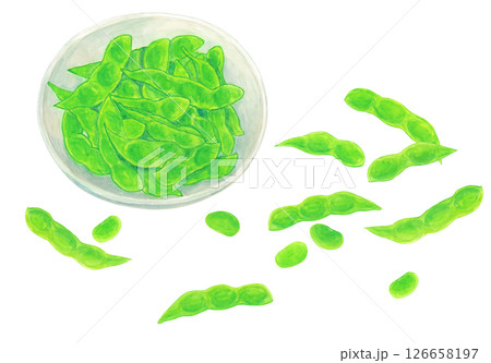 枝豆のさやと豆とお皿に盛った枝豆のアナログ水彩イラスト素材 126658197