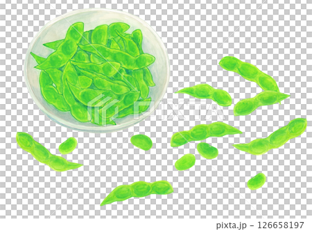 枝豆のさやと豆とお皿に盛った枝豆のアナログ水彩イラスト素材 126658197