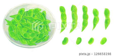 枝豆のさやと豆とお皿に盛った枝豆のアナログ水彩イラスト素材 126658198