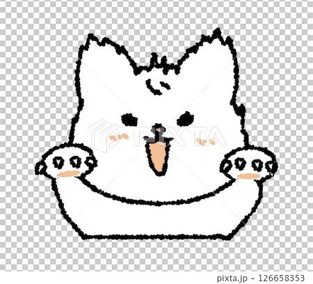 怒って威嚇するネコ 怒って威嚇するネコ 126658353