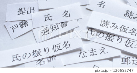 2025年発送の氏名の読み仮名に関する通知書イメージ 126658747