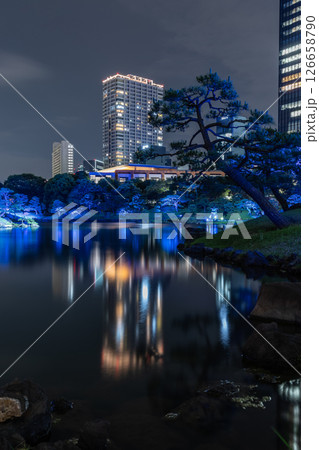 東京港区旧芝離宮公園の夜景 126658790