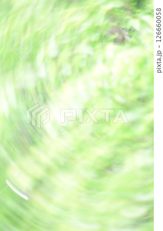 新緑のぼけぶれ 126660058