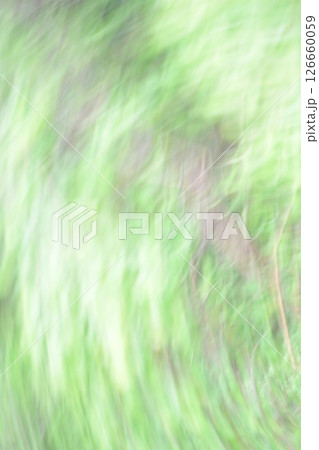 新緑のぼけぶれ 新緑のぼけぶれ 126660059