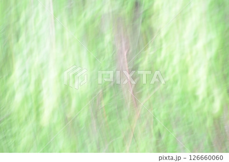 新緑のぼけぶれ 新緑のぼけぶれ 126660060