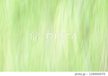 新緑のぼけぶれ 126660070