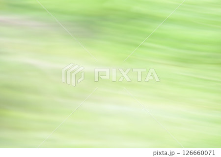 新緑のぼけぶれ 126660071