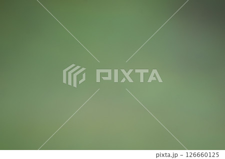 新緑のぼけぶれ 126660125