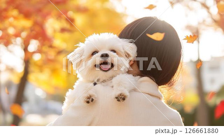 秋の木漏れ日の中で抱っこされる白い犬 秋の木漏れ日の中で抱っこされる白い犬 126661880