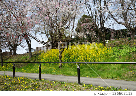 道の駅たかねざわ元気あっぷ村 #49 道の駅たかねざわ元気あっぷ村 #49 126662112