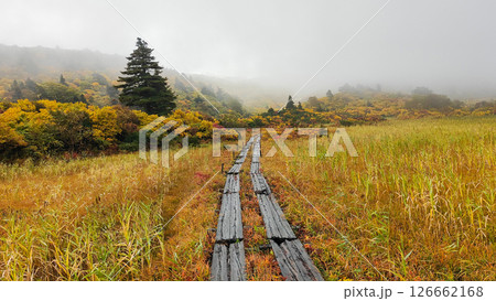 秋の栗駒山登山（須川温泉～産沼：名残ヶ原） 126662168