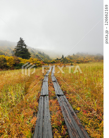 秋の栗駒山登山(須川温泉~産沼:名残ヶ原) 秋の栗駒山登山(須川温泉~産沼:名残ヶ原) 126662169