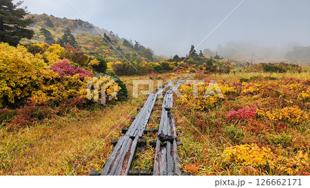秋の栗駒山登山（須川温泉～産沼：名残ヶ原） 126662171