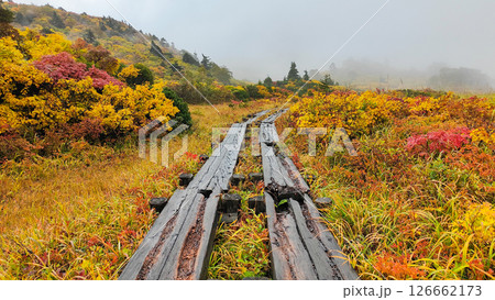 秋の栗駒山登山（須川温泉～産沼：名残ヶ原） 126662173
