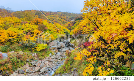 秋の栗駒山登山（須川温泉～産沼） 126662285