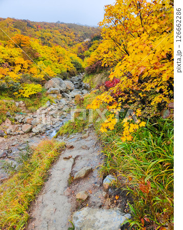 秋の栗駒山登山（須川温泉～産沼） 126662286