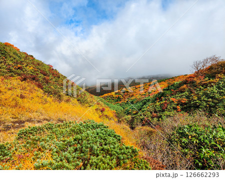 秋の栗駒山登山(産沼~東栗駒山) 秋の栗駒山登山(産沼~東栗駒山) 126662293