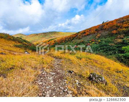 秋の栗駒山登山（産沼～東栗駒山） 126662300