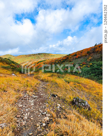 秋の栗駒山登山（産沼～東栗駒山） 126662302