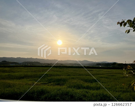 夕陽 126662357