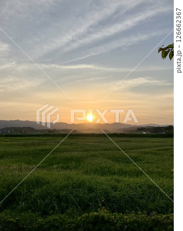 夕日 126662367