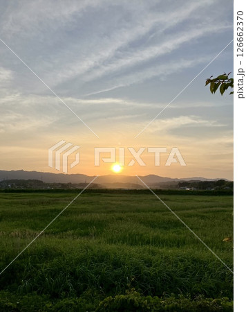 夕日 126662370