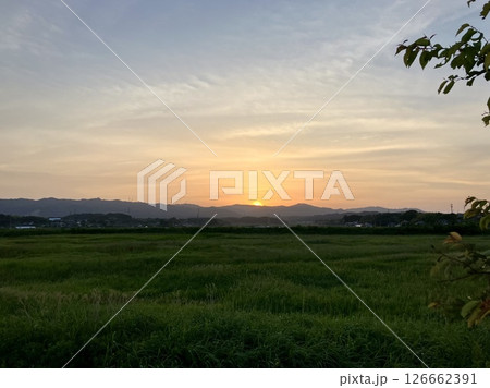 夕日 126662391