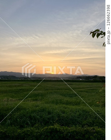 日没 126662398