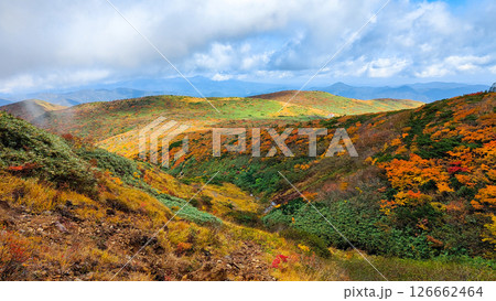 秋の栗駒山登山（産沼～東栗駒山） 126662464