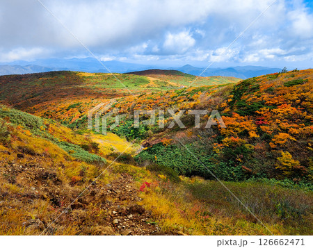 秋の栗駒山登山（産沼～東栗駒山） 126662471