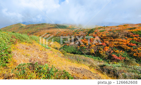 秋の栗駒山登山（産沼～東栗駒山） 126662608